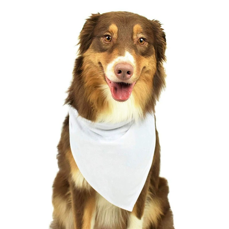 30 peças bandanas de poliéster - Bandana Blank White avaliação e preço